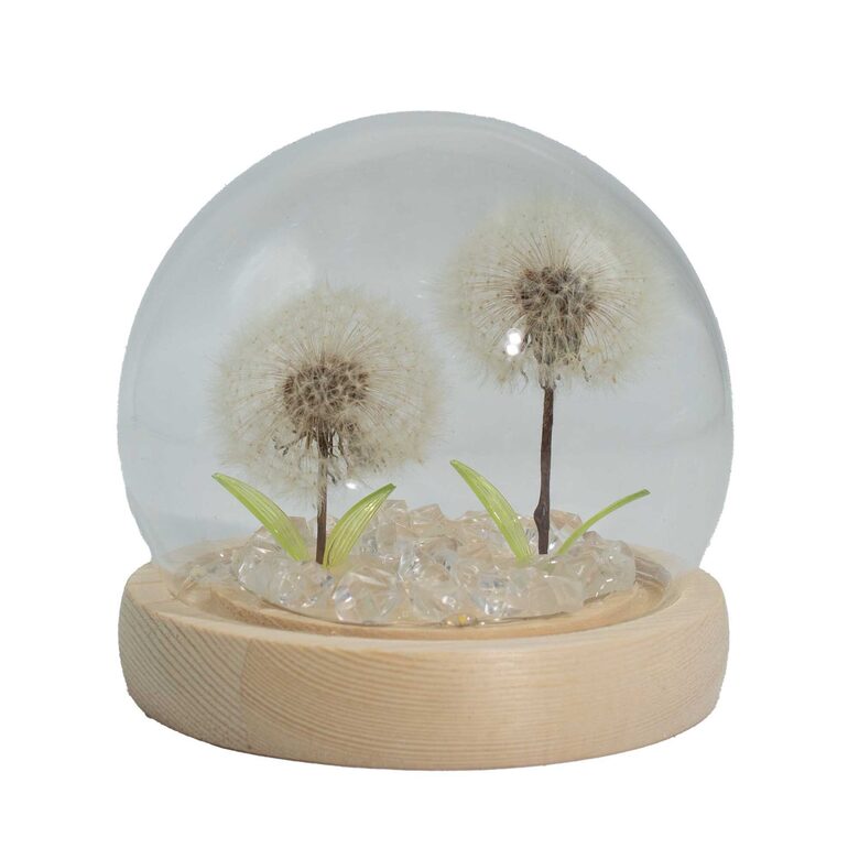 LED Dandelion Glass Dome Lamp – 2 Flowers (USB)