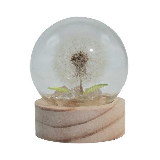 LED Glass Dome with 1 Dandelion – Battery Decorative Light