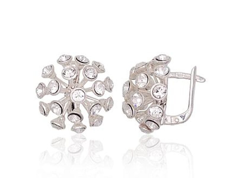 Silver Earrings 2203794