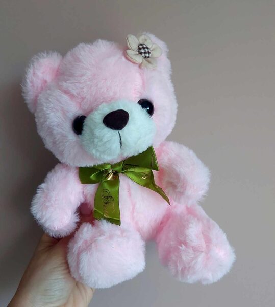 Plush Bear 20cm Pink  