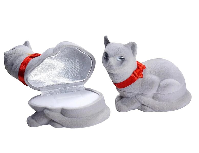 Dāvanu kārbiņa , Kaķēns