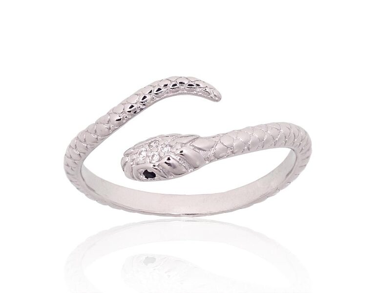 Silver Ring Snake 2101931