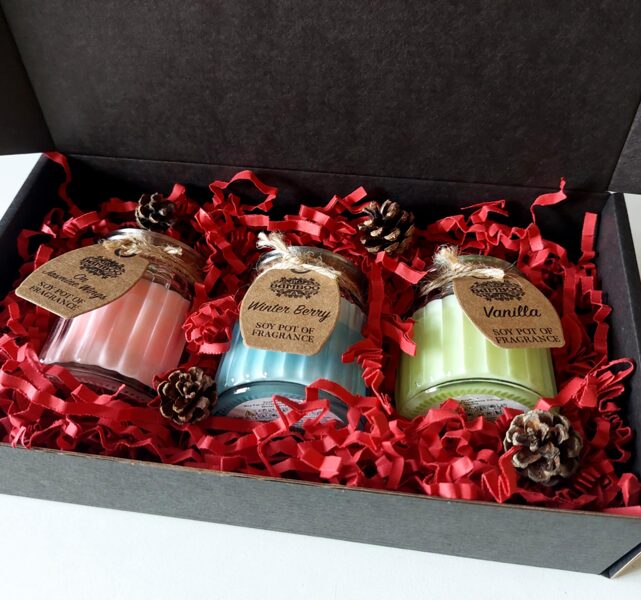 Christmas Gift - Soy Candle Collection | Perfect Holiday Gift Set